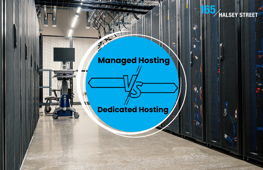 165 Halsey managed hosting